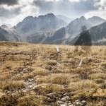 meadow with memory, fot Katarzyna Nizinkiewicz