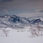 Stabbursdalen, Norwegia