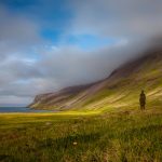 Hornstrandir, Iceland