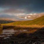 Hornstrandir, Iceland