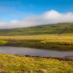 Hornstrandir, Iceland