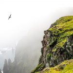 Hornstrandir, Iceland