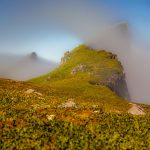 Hornstrandir, Iceland