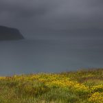 Hornstrandir, Iceland