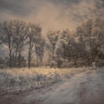 Infrared Photography