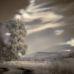 Infrared Photography