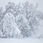 Stranger fot Katarzyna Nizinkiewicz