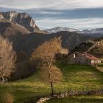 Cabrales