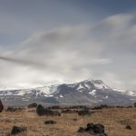 Islandia, niedaleko od szosy fot Kasia Nizinkiewicz