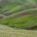 Trialeti, Lesser Caucasus, Georgia,