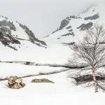 Pireneje fot Kasia Nizinkiewicz
