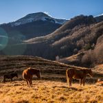 Alpi Apuane